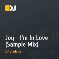 Joy - I'm In Love (Sample Mix)