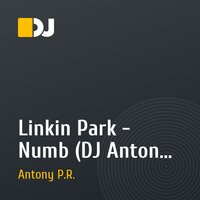 Linkin Park - Numb (DJ Antony P.R. remix)