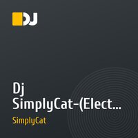 Dj SimplyCat-(Electro-level)