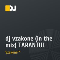 dj vzakone (in the mix) TARANTUL