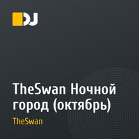 TheSwan Ночной город (октябрь)