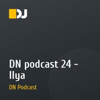 DN podcast №24 - Ilya