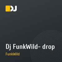 Dj FunkWild- drop