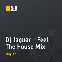Dj Jaguar - Feel The House Mix