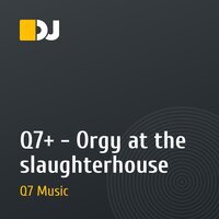 Q7+ - Orgy at the slaughterhouse