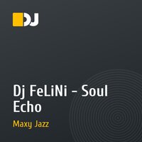 Dj FeLiNi - Soul Echo
