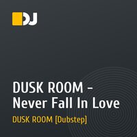 DUSK ROOM - Never Fall In Love