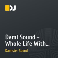 Dami Sound - Whole Life With Music (Electro-House)