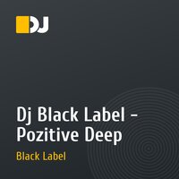Dj Black Label - Pozitive Deep
