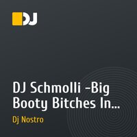 DJ Schmolli -Big Booty Bitches In Miami(DJ Nostro rmx)