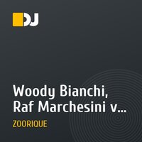 Woody Bianchi, Raf Marchesini vs. Overtronics - You Got What I Want Paradise (Aur Duo Mush Up)