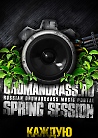 Spring Session