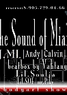The Sound Of Miami