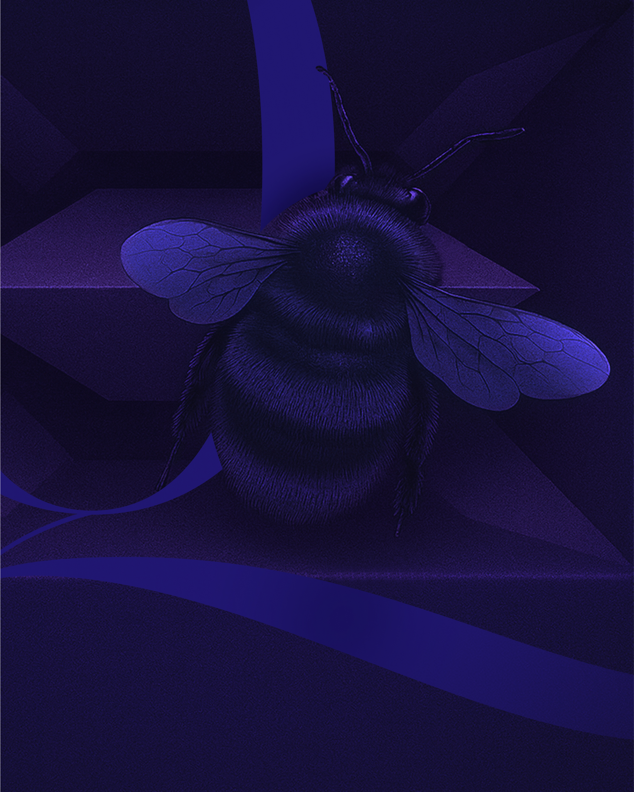 Осенняя Quintessence