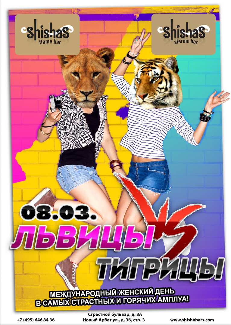 Львицы VS Тигрицы