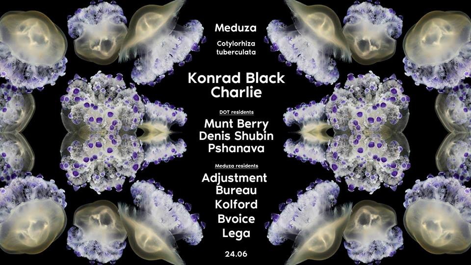 Meduza Cotylorhiza Tuberculata