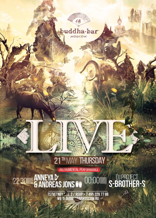 Live Instrumental Performance