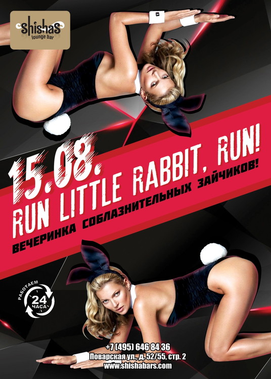Run Little Rabbit, Run!