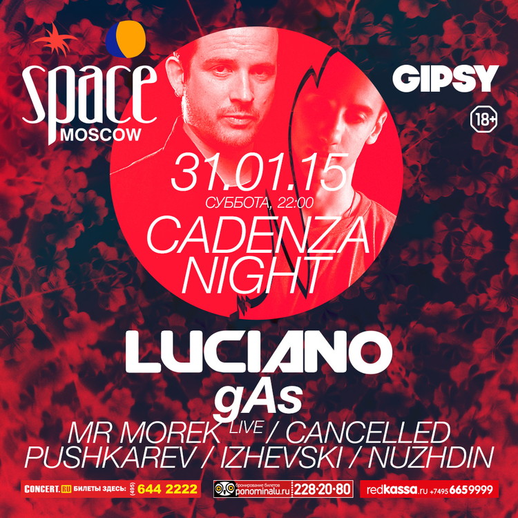 CADENZA NIGHT
