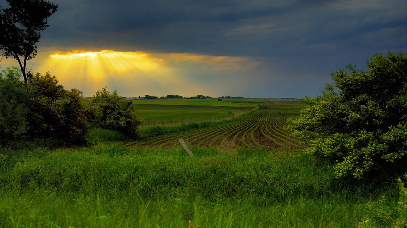 «Посвящение... Франц Шуберт»