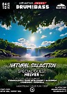 NATURAL SELECTION | DNB NIGHT with NELVER