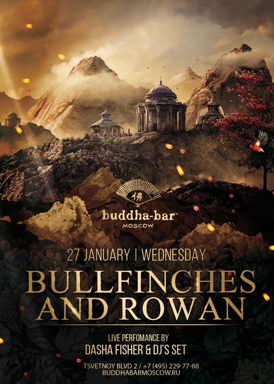 BULLFINCHES AND ROWAN