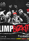 Limp Bizkit tribute