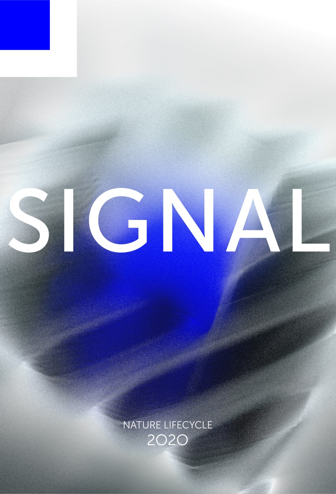 Signal 2020