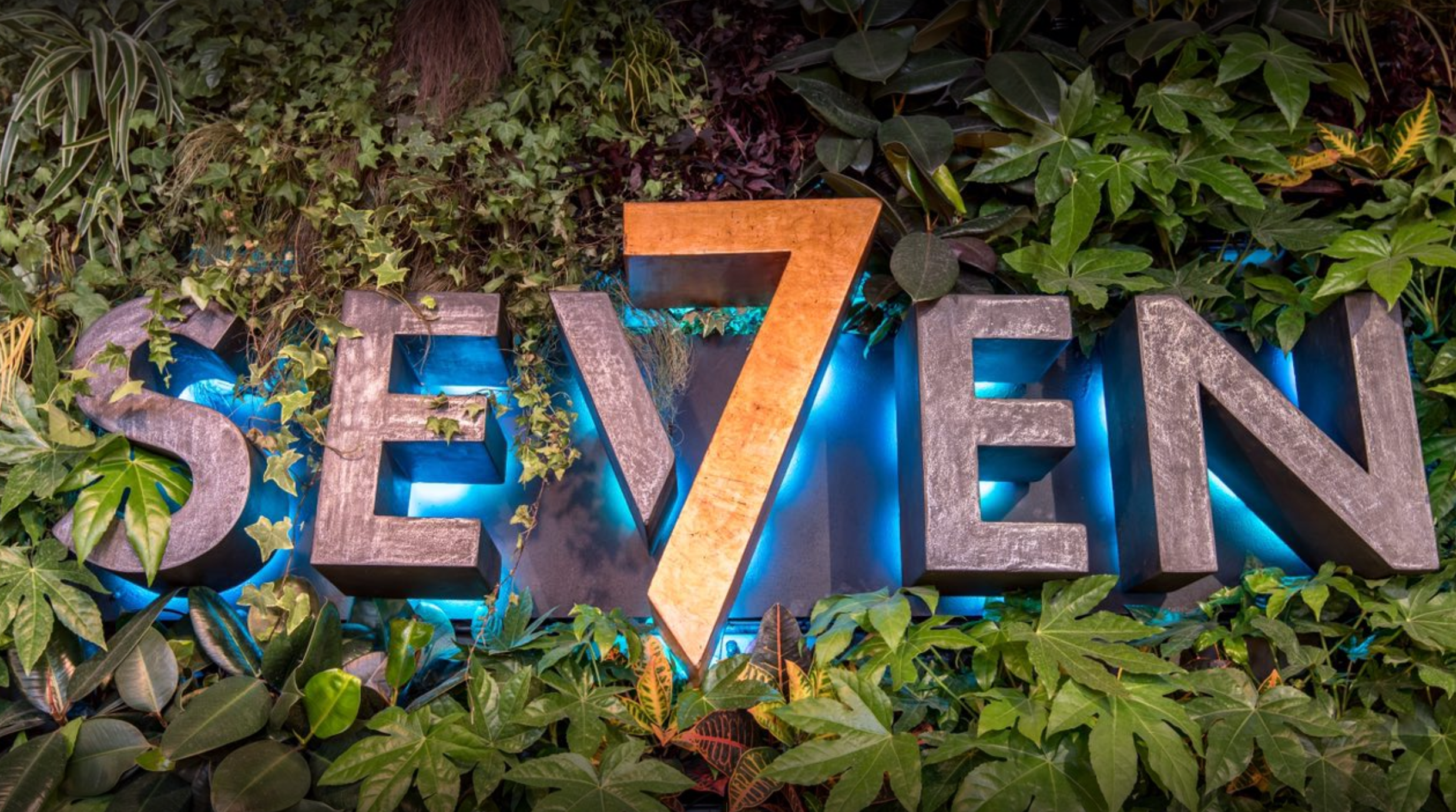 Вечеринка в Seven