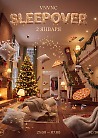 SLEEPOVER _2 | VNVNC | 2 ЯНВАРЯ