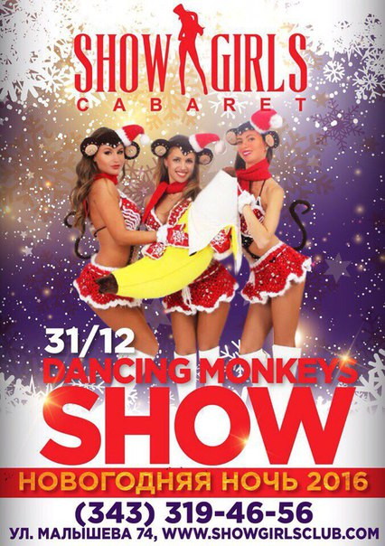 Новогодняя ночь 2016