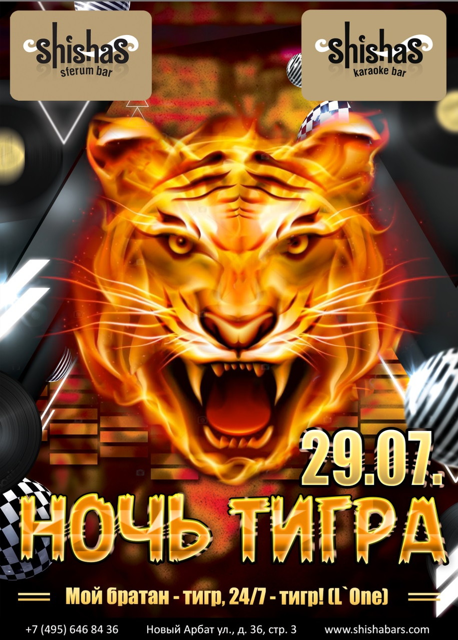 НОЧЬ ТИГРА