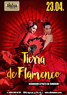 Tierra de Flamenco