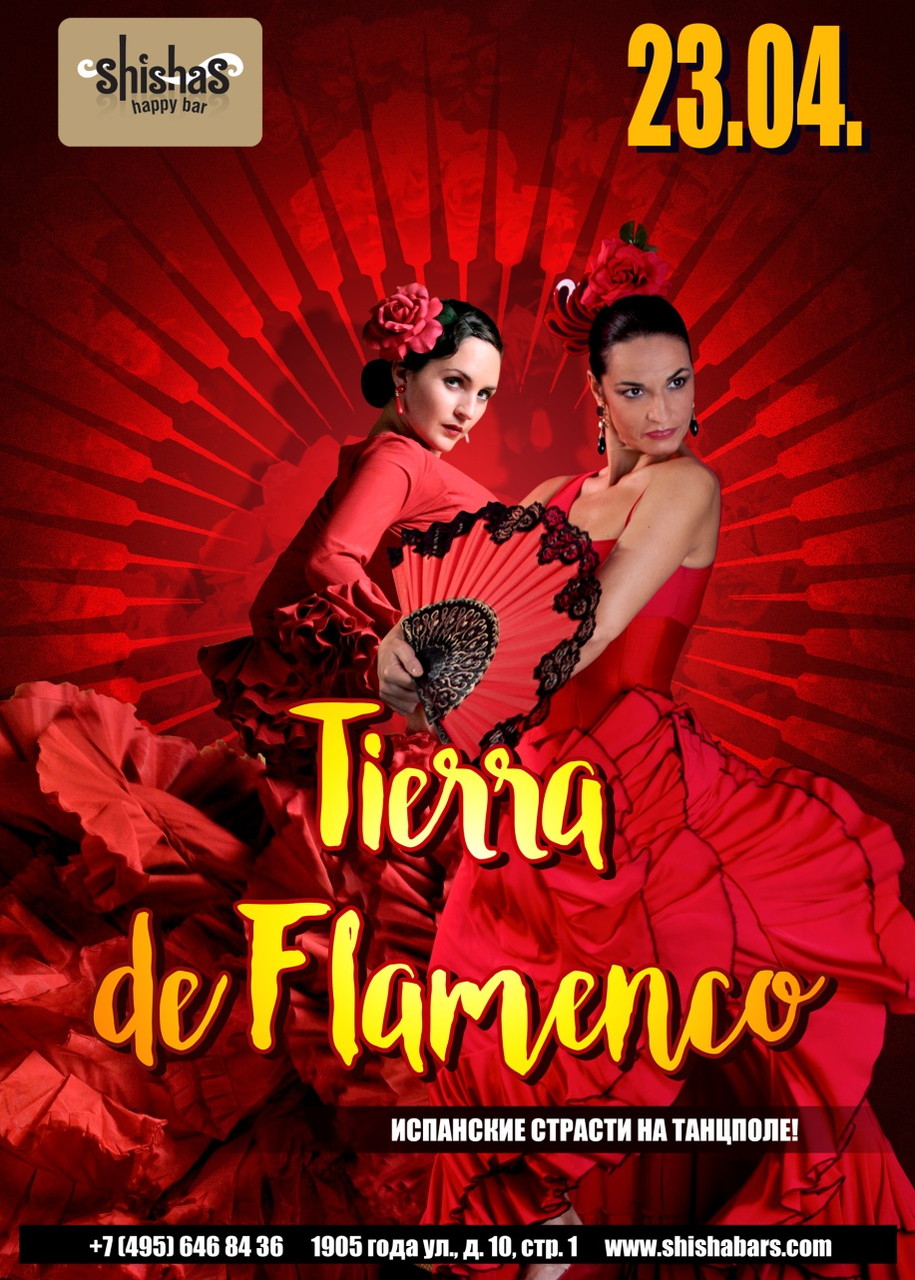 Tierra de Flamenco