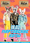 Мартовские коты