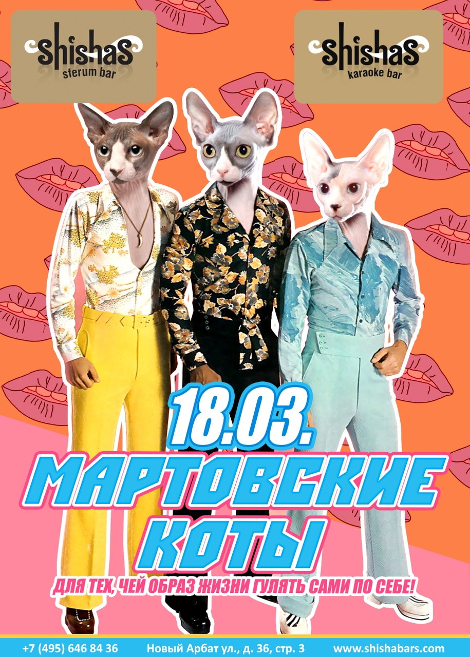 Мартовские коты