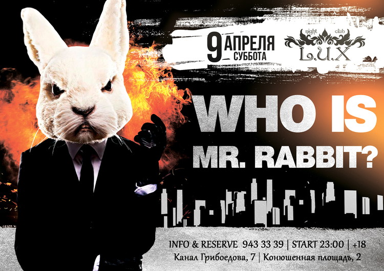 Who is Mr. Rabbit?