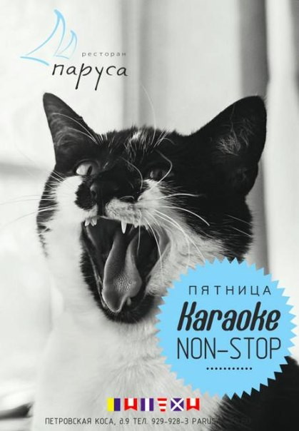 Караоке Нон-стоп