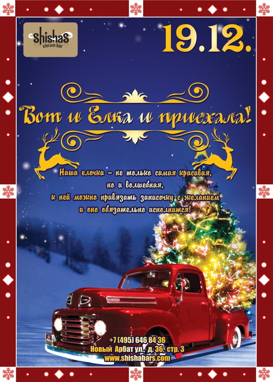 ВОТ И ЕЛКА ПРИЕХАЛА...