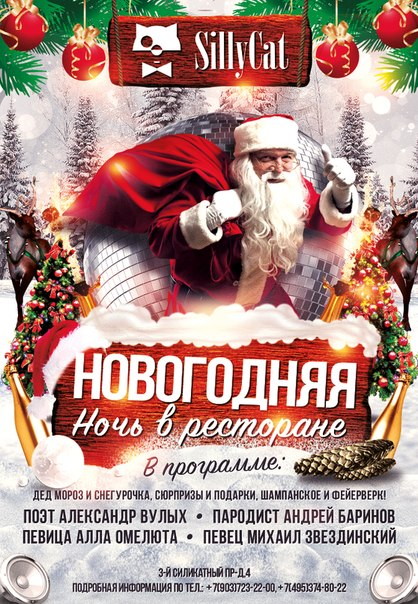 Новогодняя ночь в ресторане SillyCat