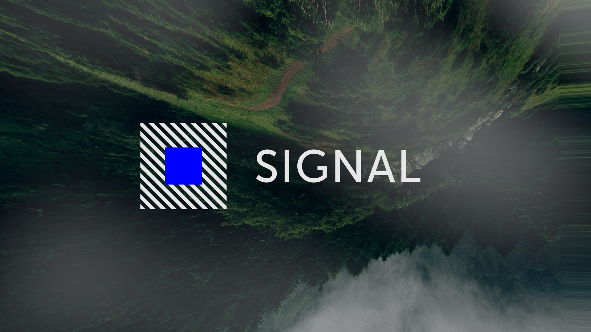 Фестиваль музыки и архитектуры Signal