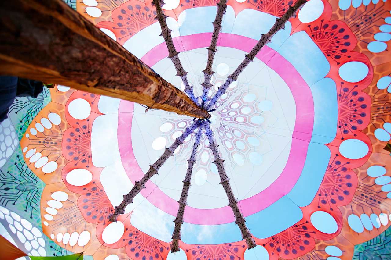 Abstraction X: улётное техно и транс на берегу озера