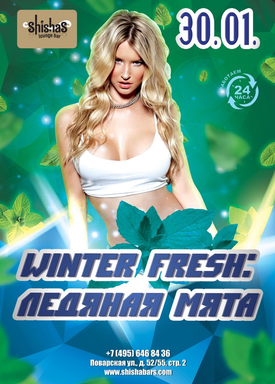 Winter Fresh: Ледяная мята