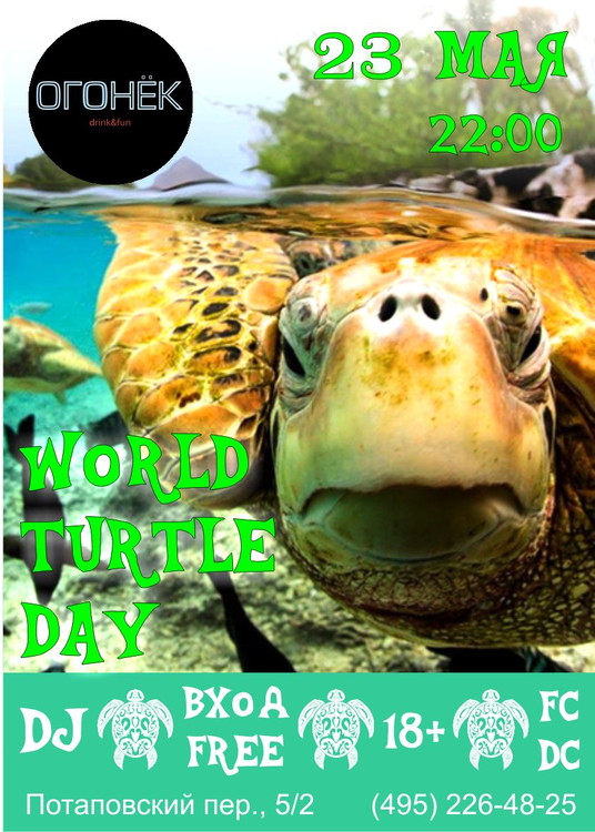 WORLD TURTLE DAY