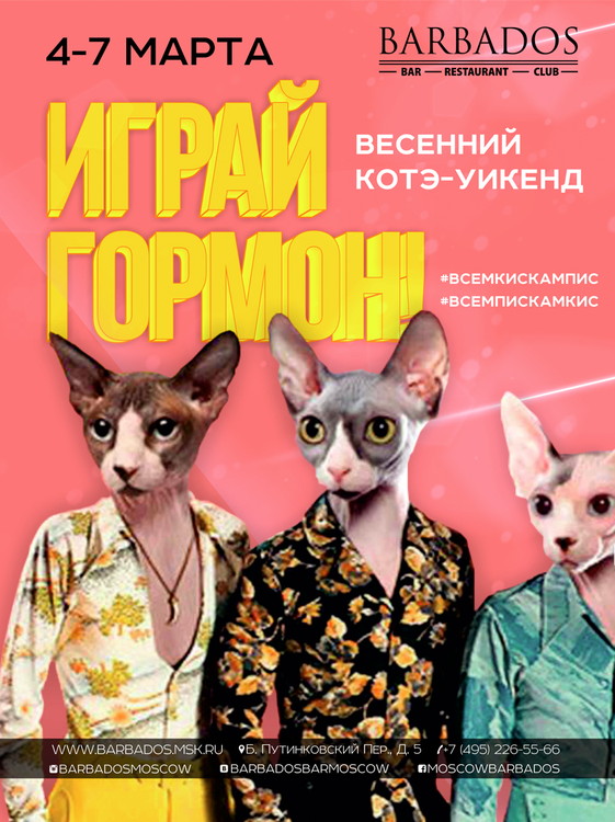 Весенний котэ-уикенд! ИГРАЙ ГОРМОН!!