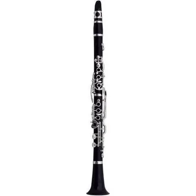 ROY BENSON CG-521 Bb