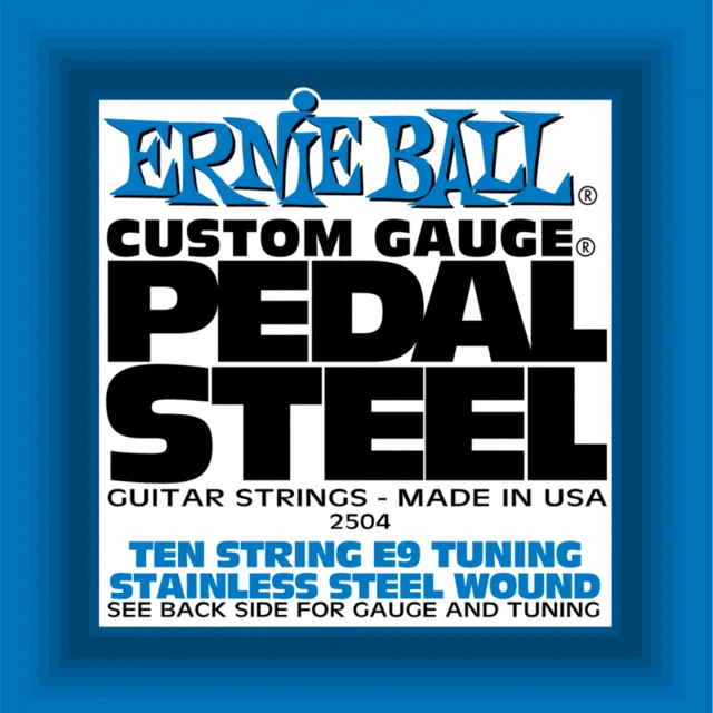 ERNIE BALL P02504