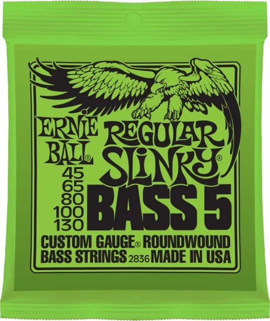 ERNIE BALL P02836