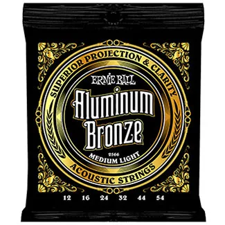 ERNIE BALL P02566
