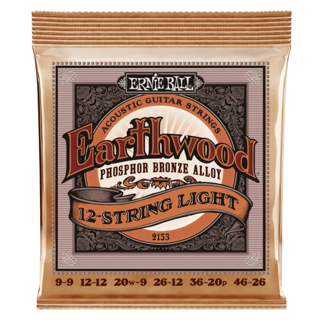 ERNIE BALL P02153